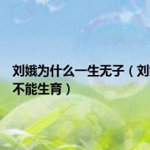 刘娥为什么一生无子(刘娥为何不能生育)