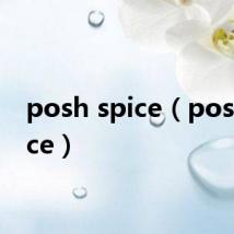 posh spice(posh spice)