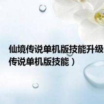 仙境传说单机版技能升级(仙境传说单机版技能)