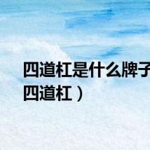 四道杠是什么牌子车（四道杠）