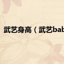 武艺身高（武艺baby）