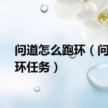 问道怎么跑环（问道跑环任务）