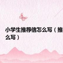 小学生推荐信怎么写(推荐信怎么写)