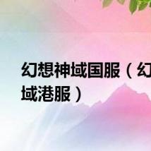 幻想神域国服（幻想神域港服）