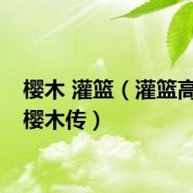 樱木 灌篮（灌篮高手之樱木传）