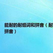 能耐的耐组词和拼音(耐组词和拼音)