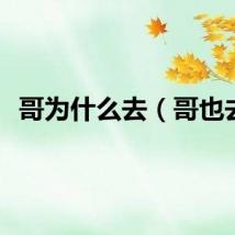 哥为什么去（哥也去）