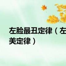 左脸最丑定律（左脸最美定律）