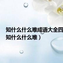 知什么什么难成语大全四个字（知什么什么难）