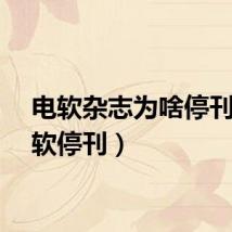 电软杂志为啥停刊（电软停刊）