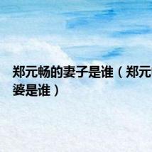 郑元畅的妻子是谁(郑元畅的老婆是谁)