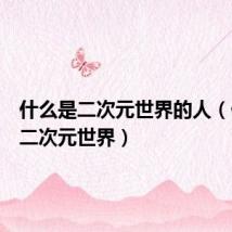 什么是二次元世界的人（什么是二次元世界）