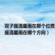 双子座流星雨在那个位置（双子座流星雨在哪个方向）