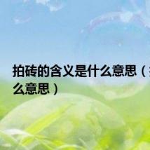 拍砖的含义是什么意思(拍砖什么意思)