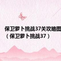 保卫萝卜挑战37关攻略图文详解(保卫萝卜挑战37)