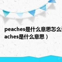 peaches是什么意思怎么读(peaches是什么意思)