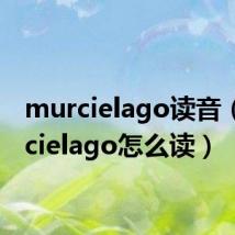 murcielago读音(murcielago怎么读)