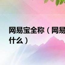 网易宝全称（网易宝是什么）