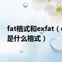 fat格式和exfat(exfat是什么格式)