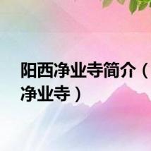 阳西净业寺简介（阳西净业寺）