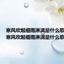 寒风吹起细雨淋漓是什么歌唐艺(寒风吹起细雨淋漓是什么歌)