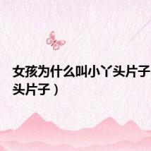 女孩为什么叫小丫头片子(小丫头片子)