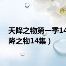 天降之物第一季14（天降之物14集）