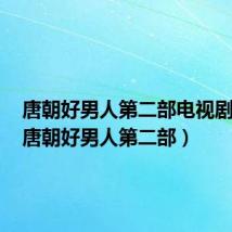 唐朝好男人第二部电视剧下载(唐朝好男人第二部)