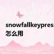 snowfallkeypress插件怎么用