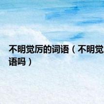 不明觉厉的词语(不明觉厉是成语吗)