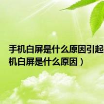 手机白屏是什么原因引起的（手机白屏是什么原因）