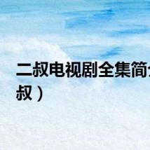 二叔电视剧全集简介（2叔）
