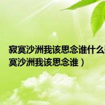 寂寞沙洲我该思念谁什么歌(寂寞沙洲我该思念谁)