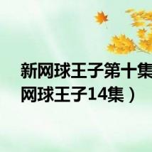 新网球王子第十集(新网球王子14集)