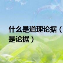什么是道理论据（什么是论据）