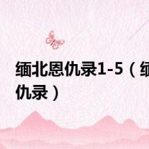 缅北恩仇录1-5(缅北恩仇录)