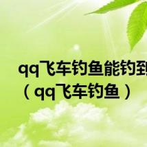qq飞车钓鱼能钓到什么(qq飞车钓鱼)