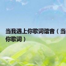 当我遇上你歌词谐音(当我遇上你歌词)