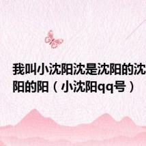 我叫小沈阳沈是沈阳的沈阳是沈阳的阳（小沈阳qq号）