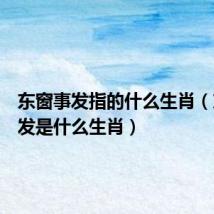 东窗事发指的什么生肖(东窗事发是什么生肖)