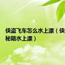 侠盗飞车怎么水上漂(侠盗飞车秘籍水上漂)