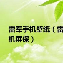 雷军手机壁纸（雷军手机屏保）
