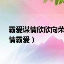 霸爱谋情欣欣向荣（谋情霸爱）