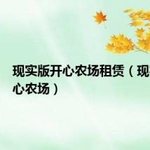 现实版开心农场租赁(现实版开心农场)