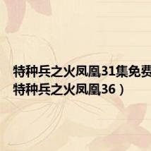 特种兵之火凤凰31集免费观看(特种兵之火凤凰36)