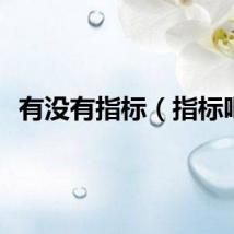 有没有指标（指标吧）