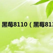 黑莓8110(黑莓8130)