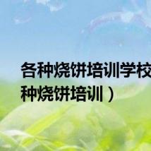 各种烧饼培训学校（各种烧饼培训）
