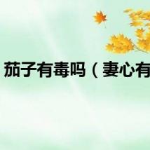茄子有毒吗（妻心有毒）
