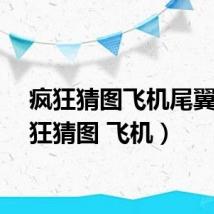 疯狂猜图飞机尾翼(疯狂猜图 飞机)